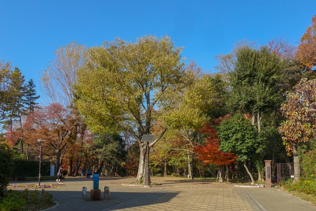 林試の森公園